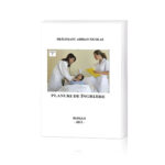 Manual cu  Planuri de Ingrijire Volumul 1